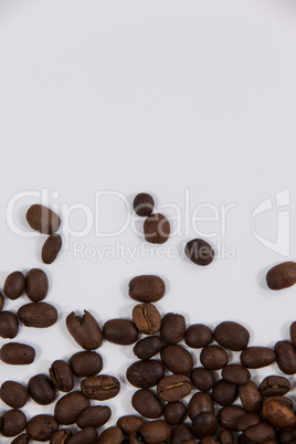 Roasted coffee beans