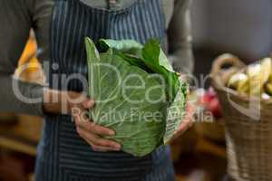 Vendor holding cabbage at the grocery store