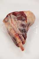 Rib chop against white background