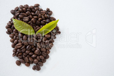 Roasted coffee beans arranged with leafs