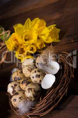 easter eggs and daffodils