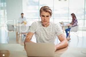 Male business executive sitting at desk and using laptop