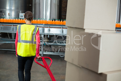 Female factory worker pulling trolley of cardboard boxes