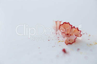 Red color pencils shavings on a white background