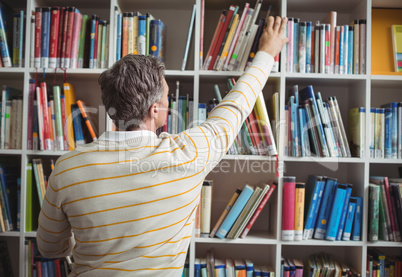 Rear view of school teacher selecting book in library