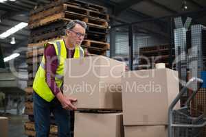 Factory worker loading cardboard boxes on trolley