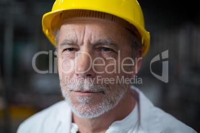 Portrait of confident factory worker