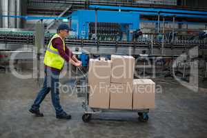 Male factory worker pulling trolley of cardboard boxes