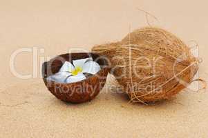 coconut and magnolia flower on a background of a sandy beach