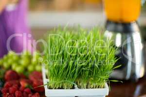 Fresh herbs and fruits on the counter at health grocery shop