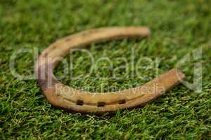Horseshoe on grass