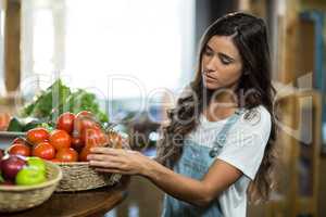 Woman choosing fresh tomatoes from the basket