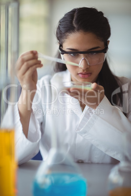 Attentive schoolgirl experimenting in laboratory