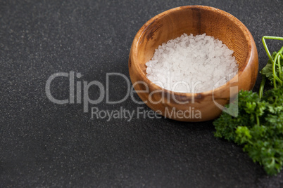 Bowl of sea salt against black background
