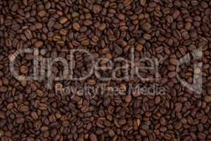 Roasted coffee beans