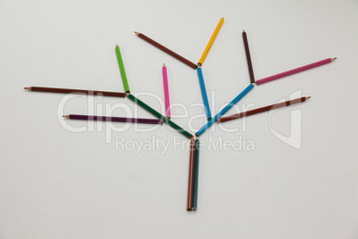 Colored pencil forming a tree