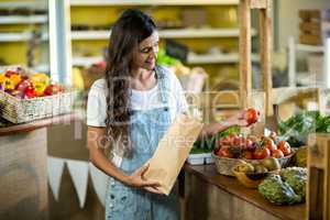 Woman putting fresh tomatoes in the vegetable bag