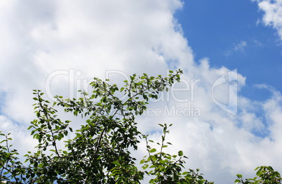 cloud on blue sky