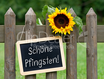 Schöne Pfingsten - Kreidetafel mit Sonnenblume im Garten