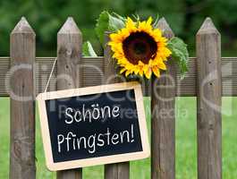 Schöne Pfingsten - Kreidetafel mit Sonnenblume im Garten