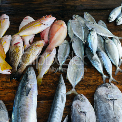 Fish tuna on a wooden background