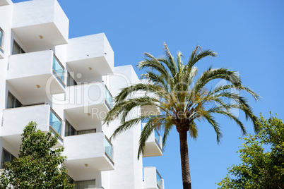 The palm tree and building of hotel, Mallorca, Spain
