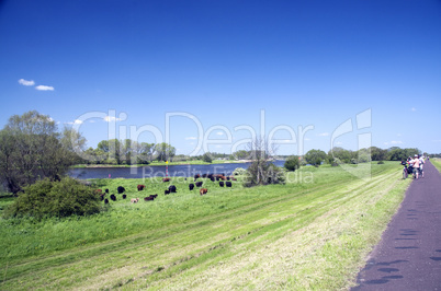 Elbe Radweg Bike Tour