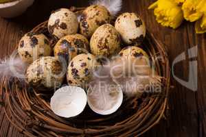 easter eggs and daffodils