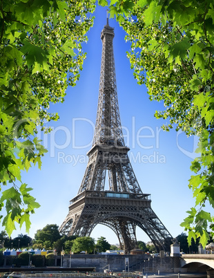 Eiffel Tower and nature