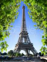 Eiffel Tower and nature