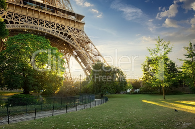Lawn near Eiffel Tower