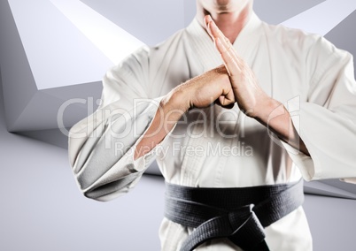 Composite image of karateka doing kung fu against white modern room