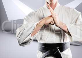 Composite image of karateka doing kung fu against white modern room