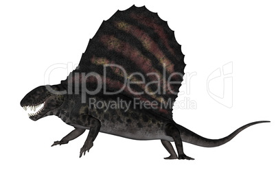 Dimetrodon dinosaur - 3D render