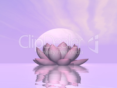 Lily lotus flower - 3D render