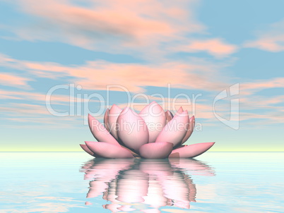 Lily lotus flower - 3D render