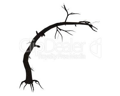Dead bended tree trunk - 3D render