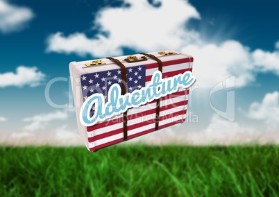 American Flag Luggage against field and sky background