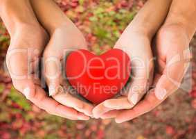 Couple hands holding red heart