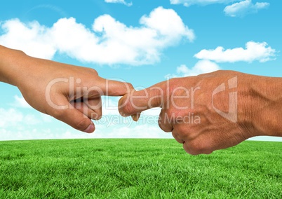 Couple Hands Nature