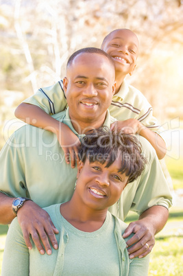 Beautiful Happy African American Family Portrait Outdoors