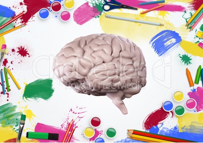 Model of human brain with color pencils and paints on white background