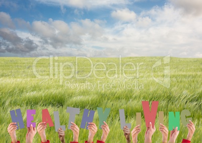 Hands holding word Healthy Living in field against clouds