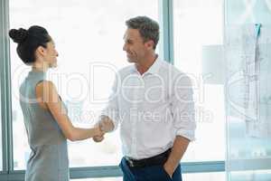 Smiling architects shaking hands with each other