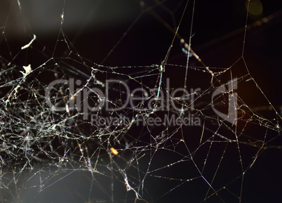 Abstract Spiderweb