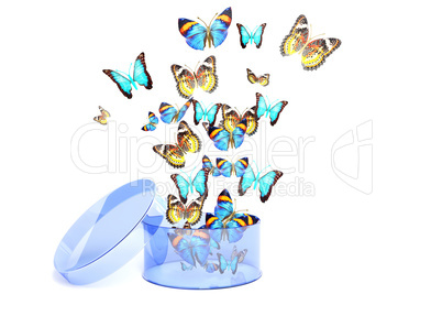 Butterflies fly out of box