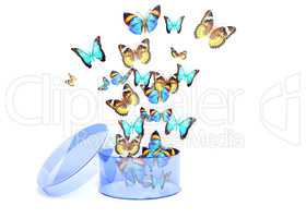 Butterflies fly out of box
