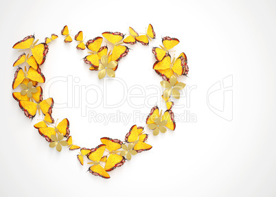 Heart shape frame of butterflies