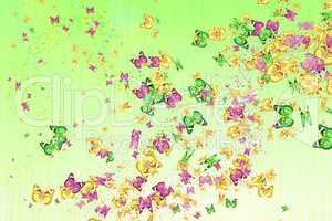 Multicolored butterflies on a light background