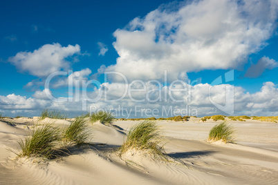 Landschaft mit Dünen auf der Insel Amrum